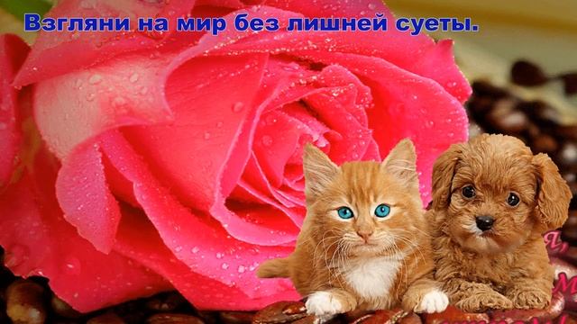 СЧАСТЬЯ И УЛЫБОК В ЗАВТРАШНЕМ ДНЕ ! Музыкальная открытка смотреть онлайн