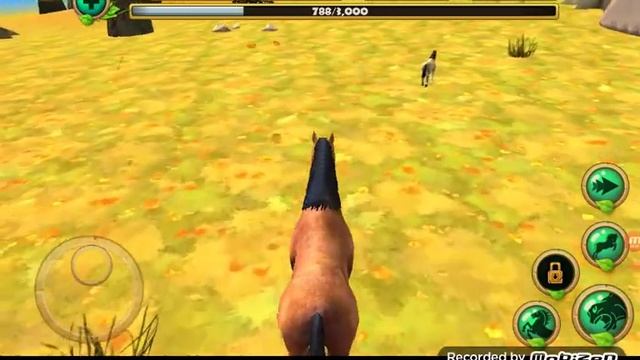 Играем в wild horse simulator смотреть онлайн