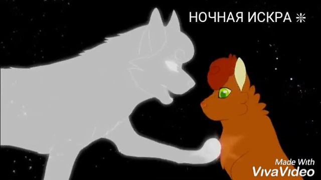 Клип~ежевика и белка;3 смотреть онлайн