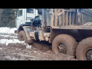 Довезти груз любой ценой | Лесовозы MAN, OSHKOSH, KAMAZ, MERCEDES на бездорожье