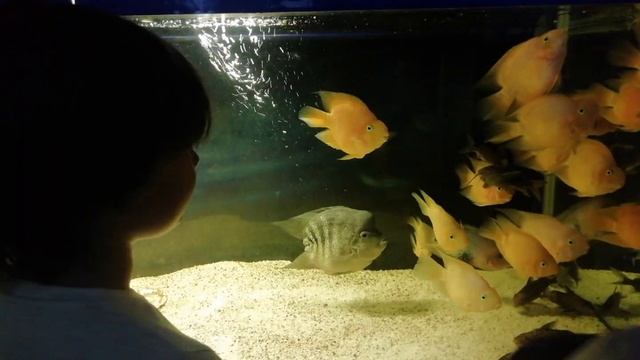 Море 2023_п. Кучугуры смотреть онлайн