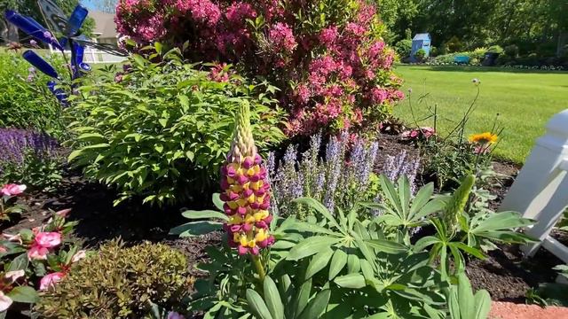 June Garden Tour смотреть онлайн