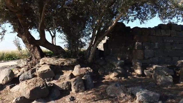 Голанские высоты. Гамла- одно из излюбленных мест отдыха израильтян. смотреть онлайн