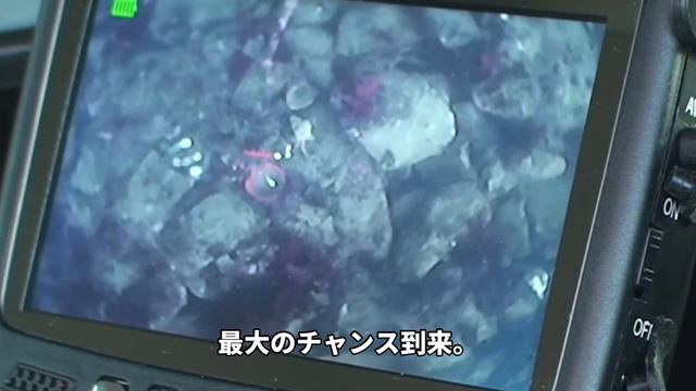 「フィッシングカメラ編」 やったぜ！狙って釣れない「餌泥棒」との決戦！ смотреть онлайн