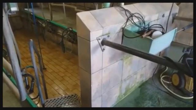 Доильный зал с входом в бюджетный коровник на немецкой ферме для молока сыроварам смотреть онлайн