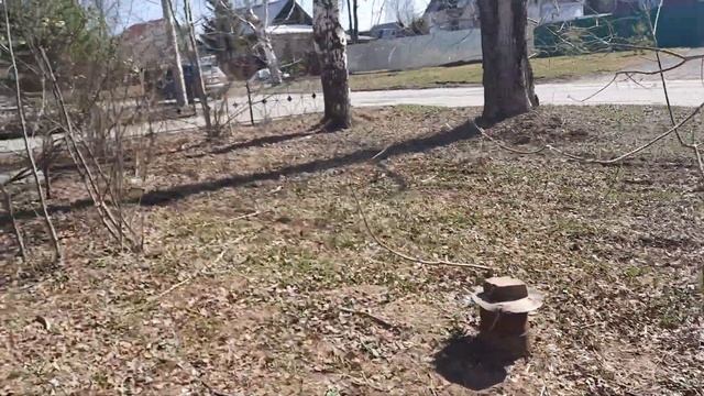 Ходили смотреть коттедж. Чтоб наш риэлтор имел такую сделку для себя любимого смотреть онлайн