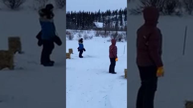 Brent Sass into Meiers Lake Checkpoint First Place Team 2022 Copper Basin 300 Sled Dog Race -52F смотреть онлайн