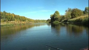 Эти воблеры нужно запретить!!!) TsuYoki COLECTOR 130SP косит рыбу!!!