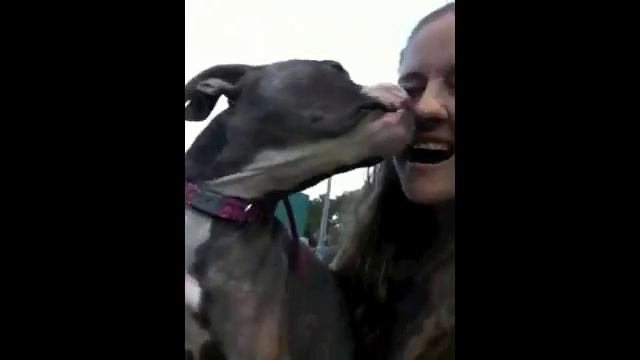 Adopt Ella смотреть онлайн