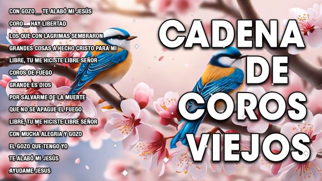 50 Cadena De Coros Viejos - Coros De Alegría Y Gozo - Coros Pentecostes Alabanzas De Avivamiento смотреть онлайн