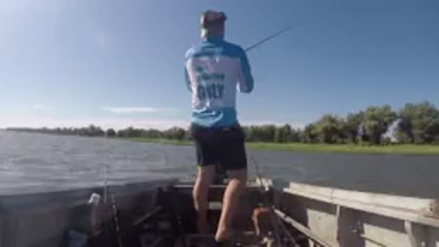 Лучшая насадка на сома На этой утрянке попробовал на все снасти и на всю рыбу Рыбалка в Астрахани смотреть онлайн