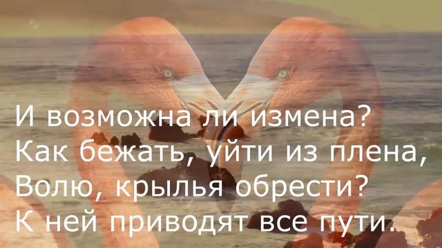 Иоганн Гёте - Новая любовь, новая жизнь смотреть онлайн