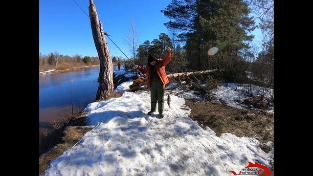Рыбалка на реке Пра. 03.04.19 смотреть онлайн