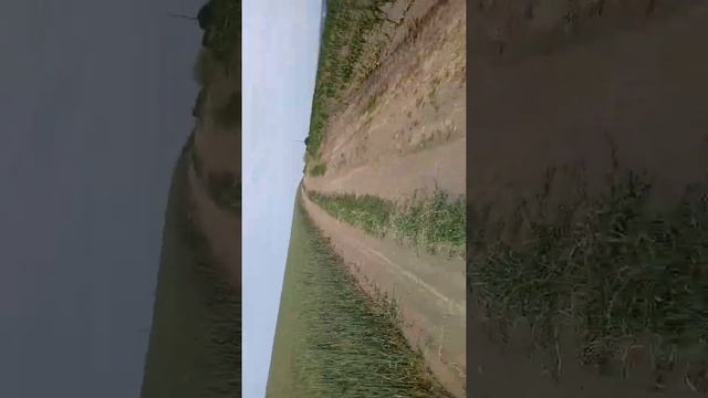 Покатушки на мінітракторі смотреть онлайн