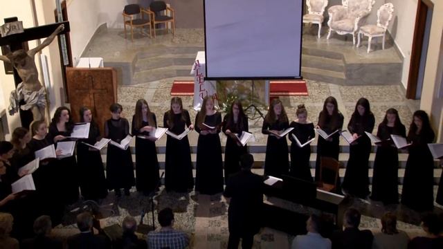 Salve Regina - Josip degl' Ivellio / Memli Kelmendi, conductor смотреть онлайн