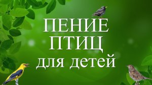 Пение птиц для детей