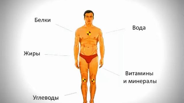 Правильное питание-что лучше кушать,какие продукты полезны для нашего организма! смотреть онлайн