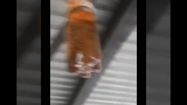 дюшес жостко флексит без смс и регистрации смотреть онлайн