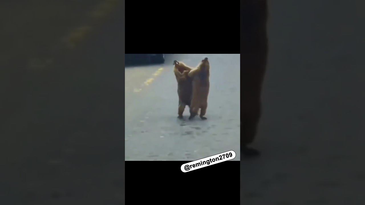 Пришли в одинаковом. #shorts смотреть онлайн