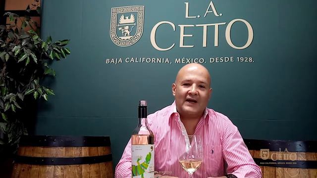 Catas contigo presenta: Sauvignon Blanc Siera Blanca co Fernando Ruíz de Chávez Cuevas смотреть онлайн