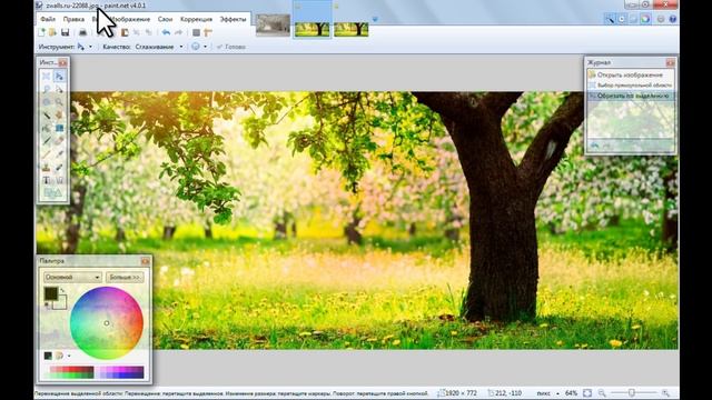 Изучаем графический редактор Paint NET