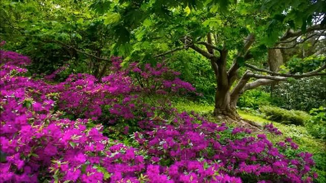 В этот год на дачу родителей ни ногой, а то опять на работу регулярно буду успевать, а на урожай не смотреть онлайн