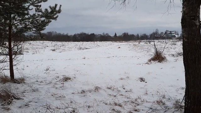 что значит мыслить стратегически и как развивать стратегическое мышление? смотреть онлайн
