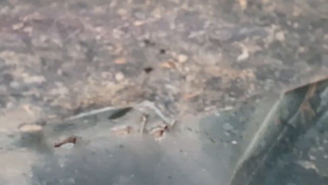 Nissan Terrano 3.0TDI/Нисан Терано 3.0TDI