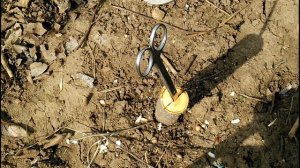 Как привить ПЕРСИК на ТЁРН! Весь ПРОЦЕСС наглядно!