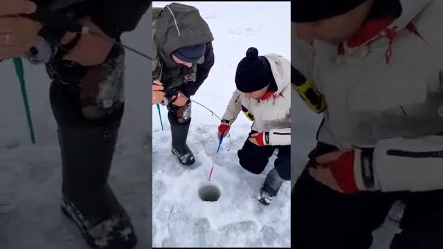 Крупная щука на Актив смотреть онлайн