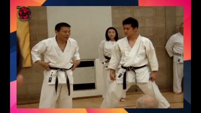 The Best Shotokan Karate Master - MIKIO YAHARA #shotokan смотреть онлайн