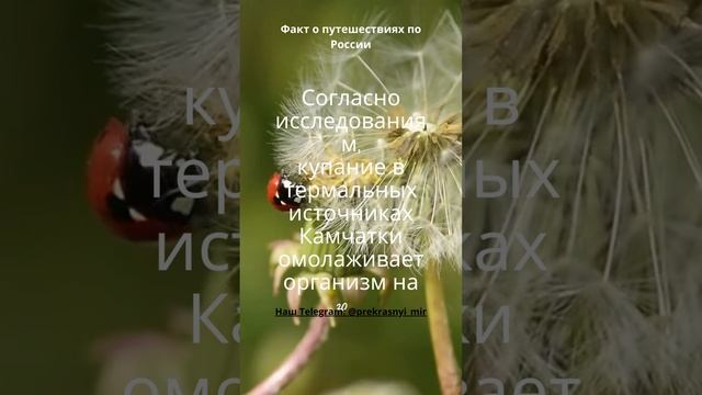 Факт о путешествиях по России смотреть онлайн