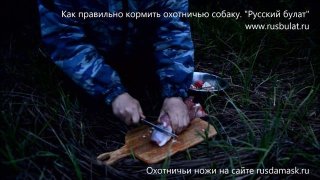 Как правильно кормить охотничью собаку. Компания Русский булат смотреть онлайн