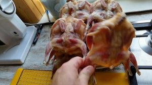 Вяленые домашние перепёлки. Хамон ОТДЫХАЕТ!!!