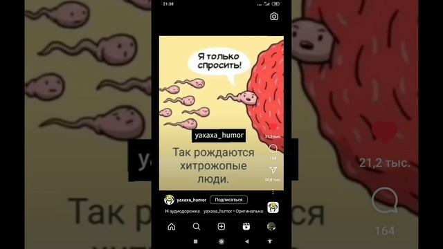юмор)))так рождаются хитрожопые люди#shortvideo смотреть онлайн