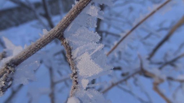 уфа толстый слой изморози на ветках.морозный ден 7 декабря 2022.погода природа weather nature russi смотреть онлайн