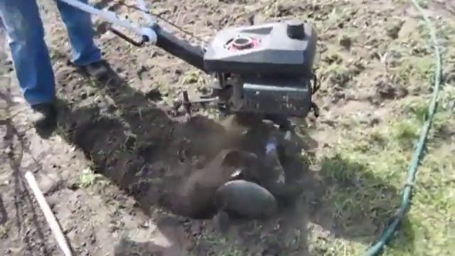 Мини мотоблок Jikov Фрезой пашет уже 14 лет смотреть онлайн