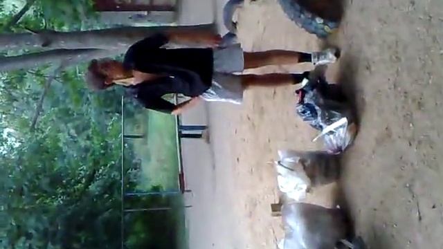 Пень из Торжка смотреть онлайн