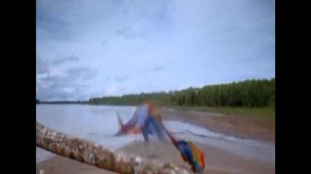 Yung Diler - King of the Bongo смотреть онлайн