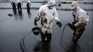 Презентация на тему Экологии.