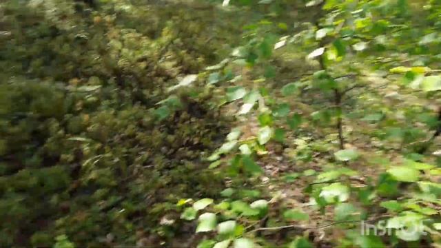 Загадочные знаки планировки великого ума