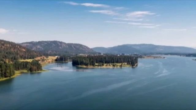 Подкармливая уличного пса, мальчик даже не догадывался, что его ждет КОШМАР смотреть онлайн