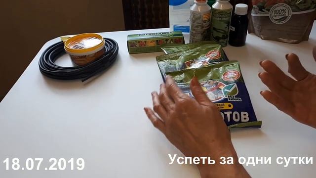 08.07.2019 КРОТЫ НА ДАЧЕ- ПЕРЕКОПАЛИ УЧАСТОК- ГИБНЕТ РАССАДА- Я РАЗОЗЛИЛАСЬ. смотреть онлайн