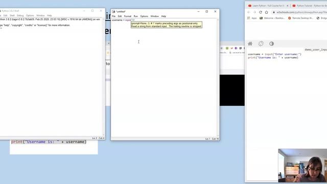 Python 3 Input смотреть онлайн
