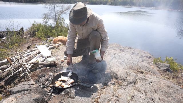 Easy Homesteading | Living Off The Land: Hunting, Fishing, And Foraging In The Wilderness