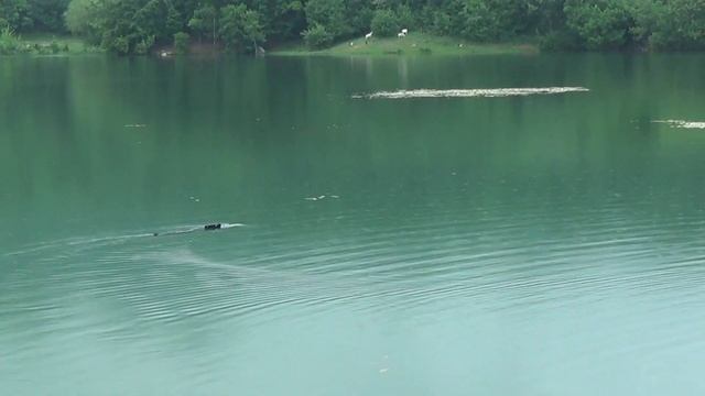 Запуск модели подводной лодки Курск К 141 смотреть онлайн