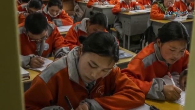 11 11 2023 Китайский «Закон о защите детей» привлек внимание смотреть онлайн