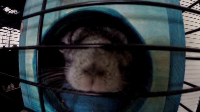 Snack Time for Munchkin смотреть онлайн