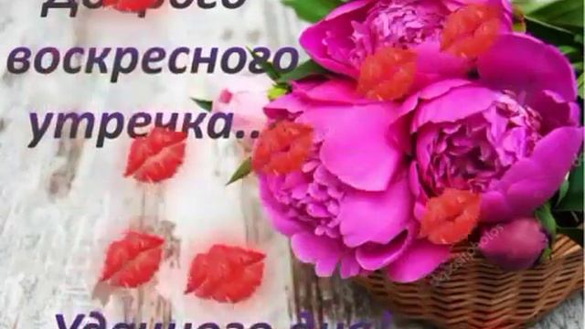 🌹🌷🥀ЧУДЕСНОГО ВОСКРЕСНОГО ДНЯ!!!