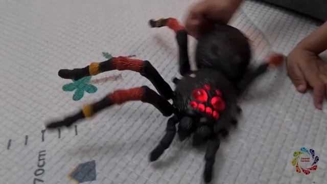 Robo Alive Giant Tarantula by ZURU | Play Time | Fun Time смотреть онлайн